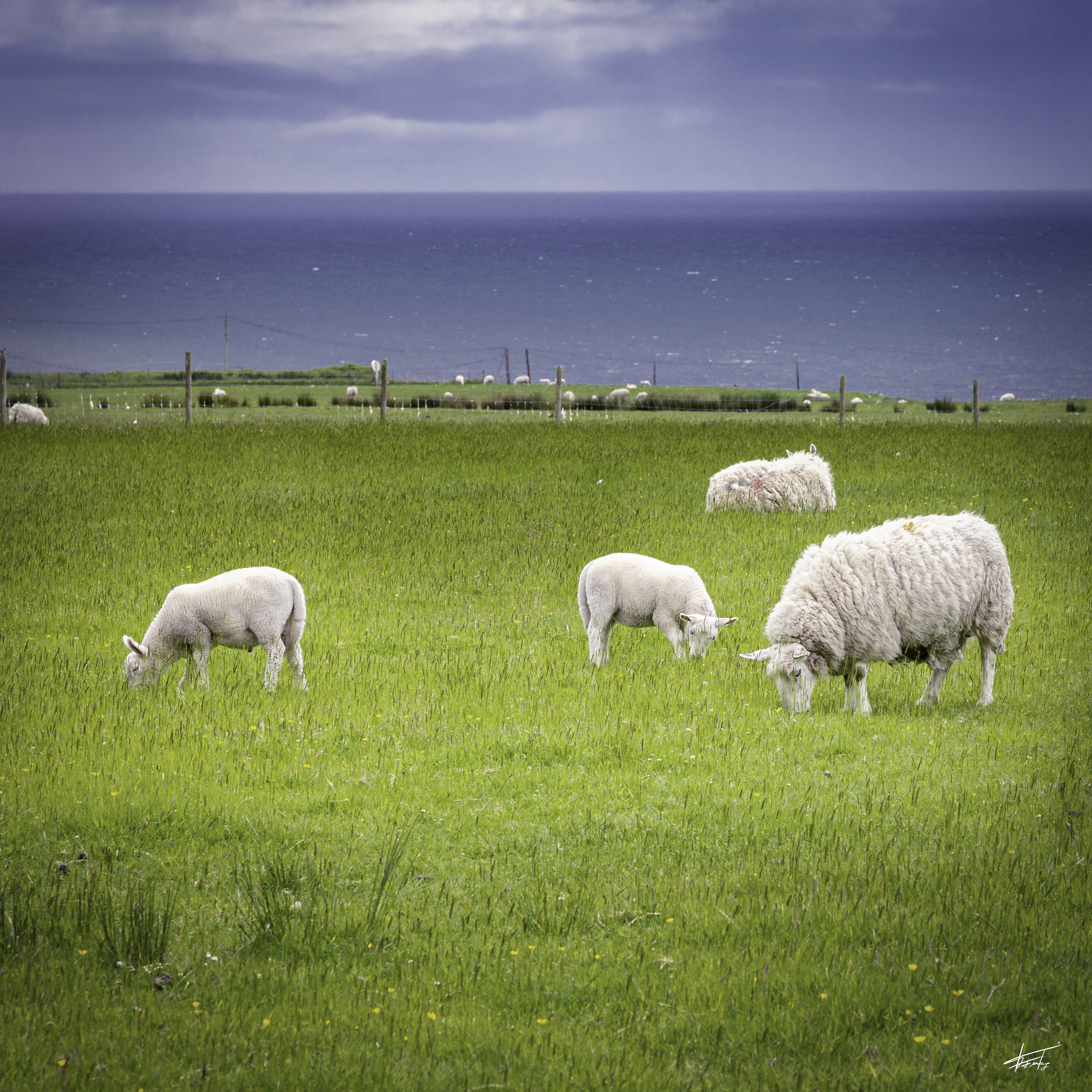 UK 2019  MG 8756 Done