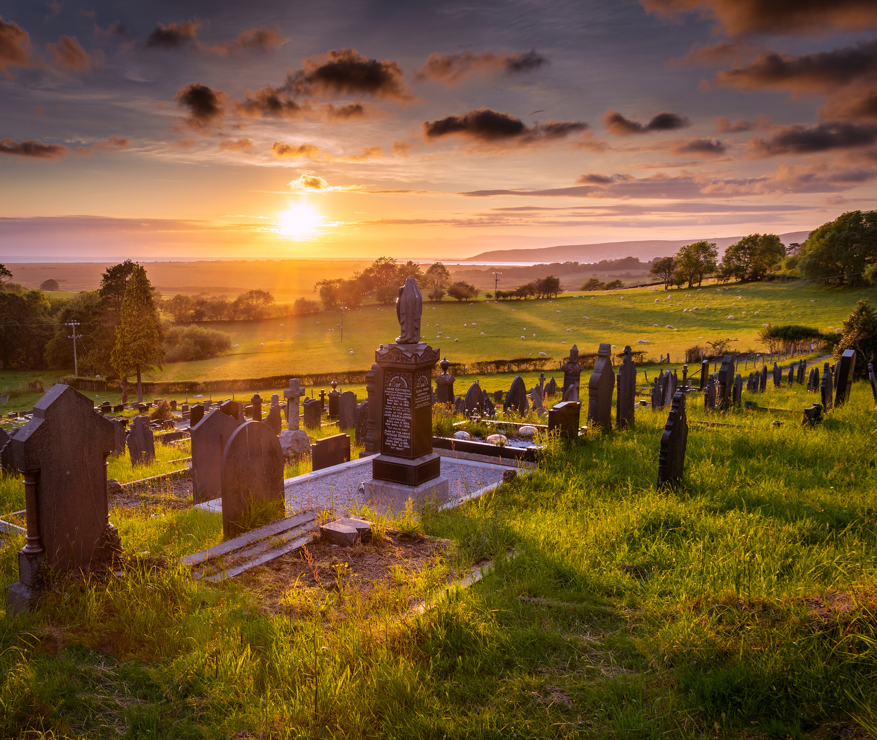 UK 2019  MG 8504 Done