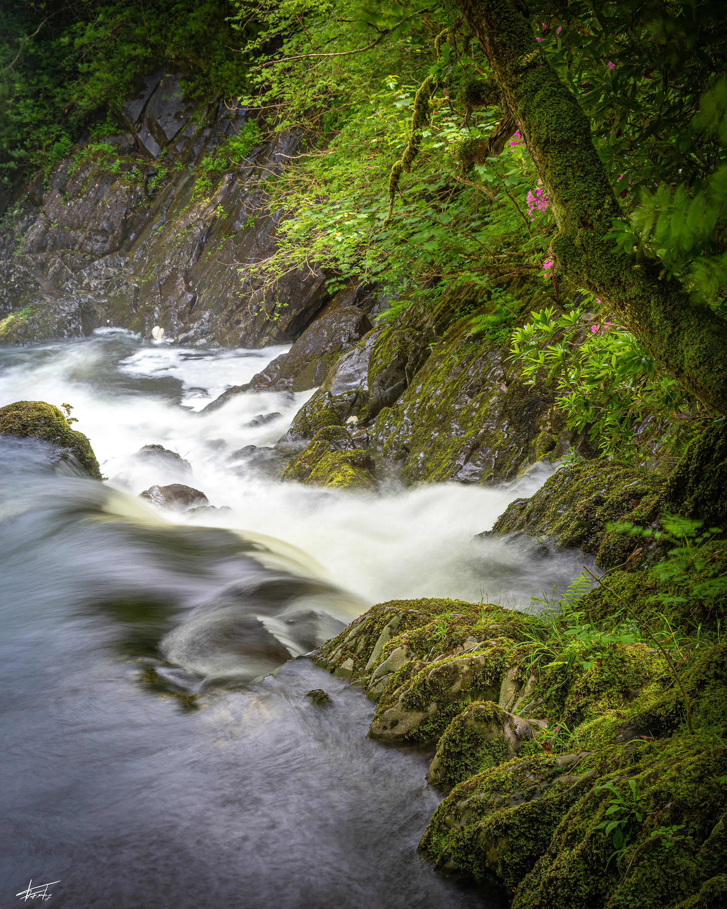 UK 2019  MG 8538 Bearbeitet