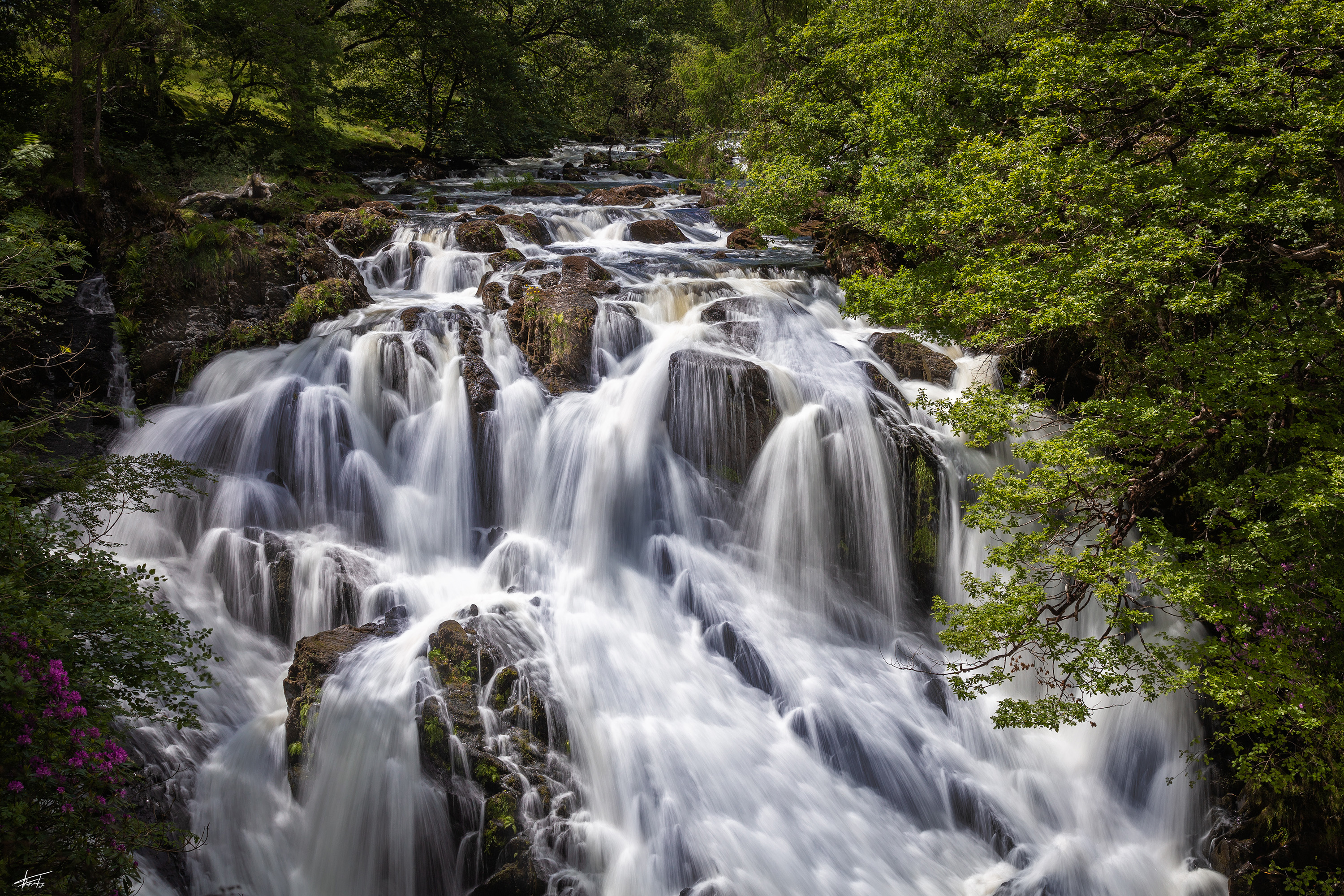 UK 2019  MG 8549 1 Done