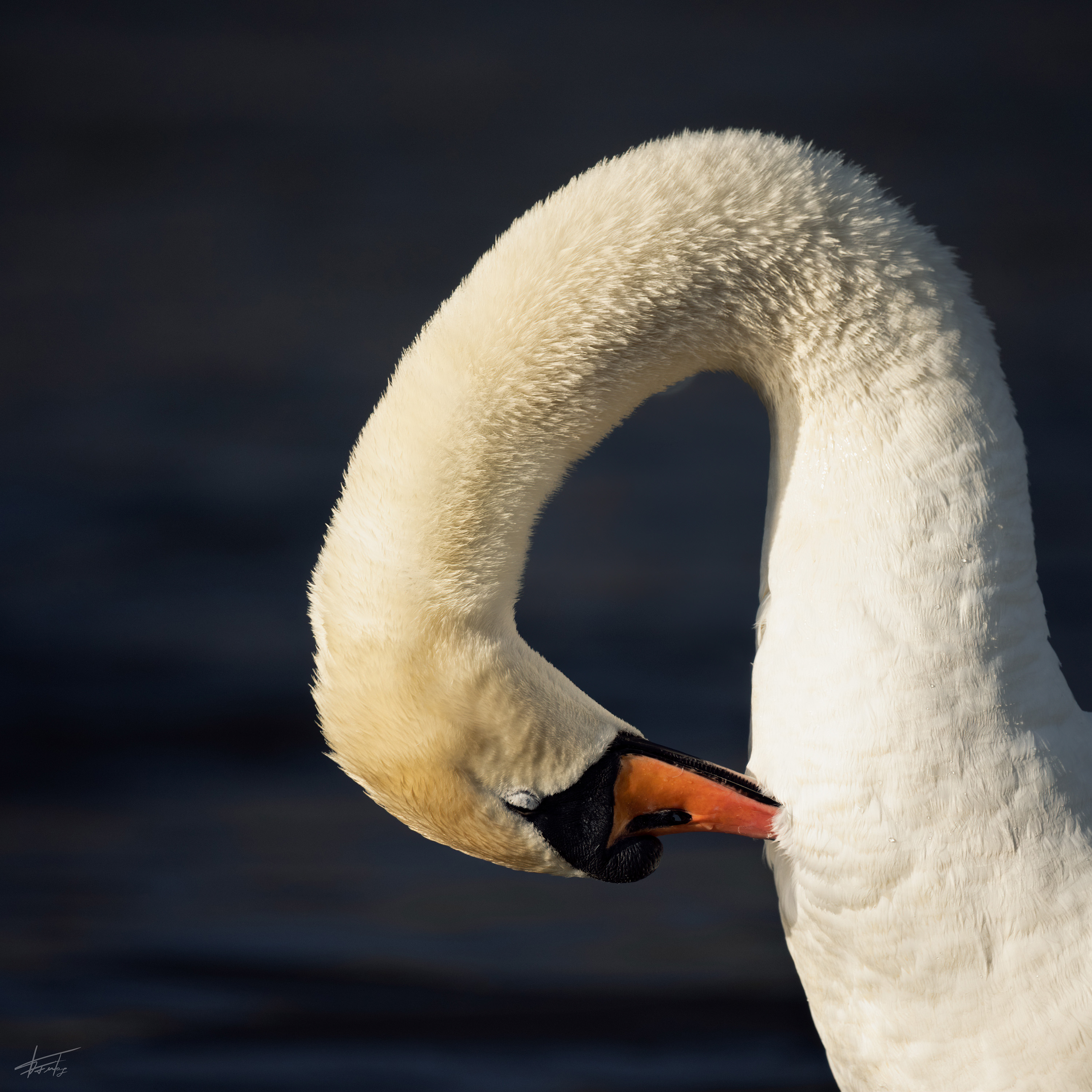 EosR 9493 April 2021 Bearbeitet Bearbeitet