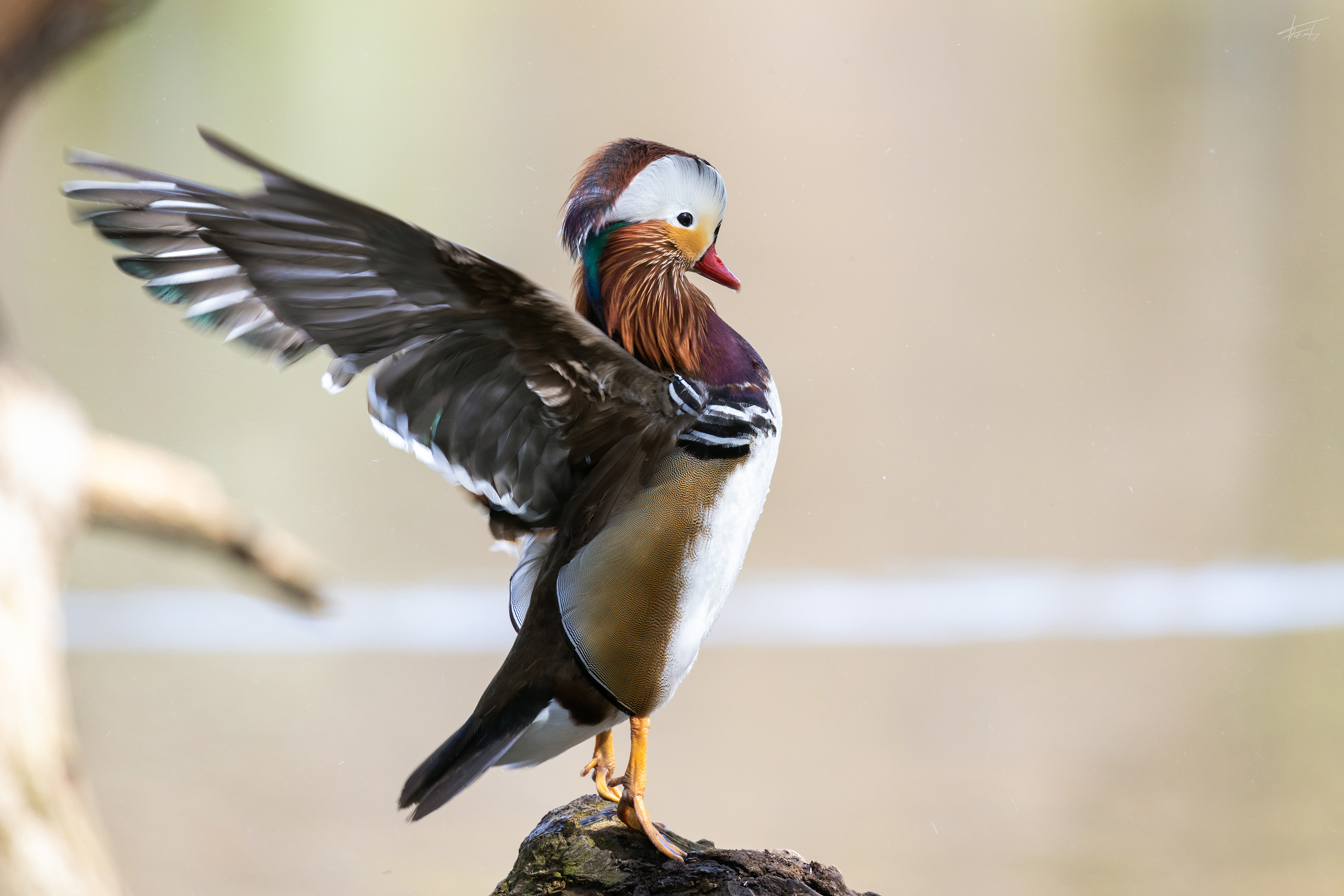 EosR 9658 April 2021 Bearbeitet Bearbeitet Bearbeitet