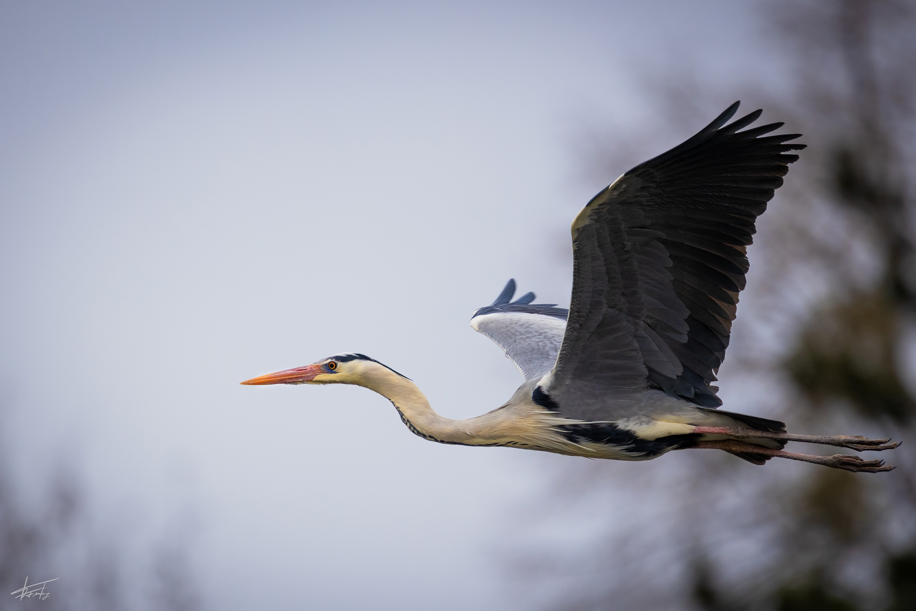 EosR 9889 April 2021 Bearbeitet Bearbeitet